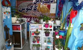 خدمات گل و گیاهان آپارتمانی (فروش و مشاوره) در اصفهان 