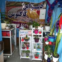 فروش و مشاوره گل های زینتی در خیابان کاشانی اصفهان 