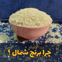 برنج هاشمی شمال