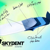 skydent-espeed04