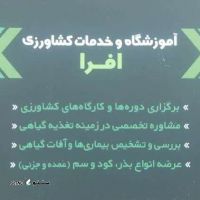 آموزشگاه و خادمت کشاورزی افرا@