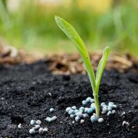 فروش عمده کود ازت / پتاسیم / فسفر  / گوگرد  / اصفهان / امام خمینی