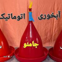 IMG-20241013-WA0010
