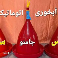IMG-20241013-WA0011