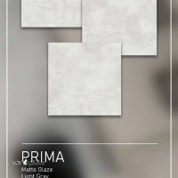 1000313592