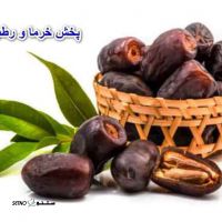 پخش کننده خرما و رطب در اصفهان خیابان زینبیه