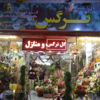 فروش انواع گلدانهای پلی استر در اصفهان