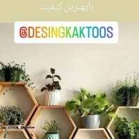 قیمت گل سانسوریا کراواتی ابلق اصفهان