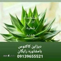 فروش ویژه انواع گل و گیاه با تخفیف در اصفهان