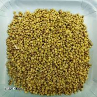 IMG-20241229-WA0002