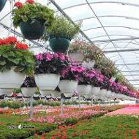 ساخت  سردخانه گلخانه ای اصفهان 