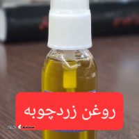 ۲۰۲۵۰۱۳۰_۱۰۱۲۳۰