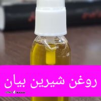 ۲۰۲۵۰۱۳۱_۱۸۵۴۳۴