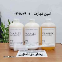 پخش  اولاپلکس در اصفهان 