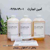 پخش  اولاپلکس در اصفهان _ وزوان 