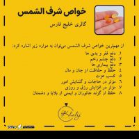 Screenshot_۲۰۲۵-۰۳-۲۳-۰۱-۵۸-۲۶-۲۴۶_ir.eitaa.messenger