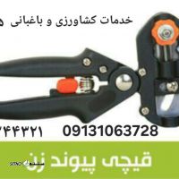 Screenshot_۲۰۲۲۱۲۲۵_۱۶۲۶۱۸_WhatsAppBusiness