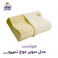aramkhab.com-hushmand-supermojnasim-1