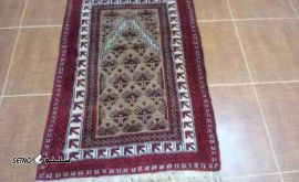 IMG-20220221-WA0002