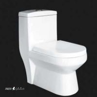 آزالیا-فرنگی-300x300