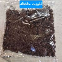 IMG-20250522-WA0005