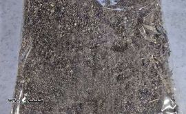 IMG-20250522-WA0004
