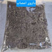 IMG-20250522-WA0004