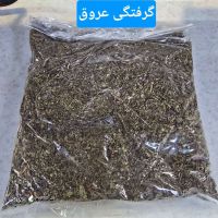 IMG-20250522-WA0009