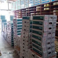 فروش نوار پی وی سی / pvc تکنوپل / اصفهان / خیابان امام خمینی