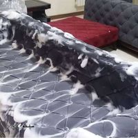 هزینه مبل شویی در منزل / اصفهان / خیابان صائب 