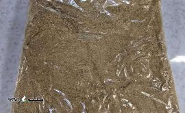 IMG-20250522-WA0021