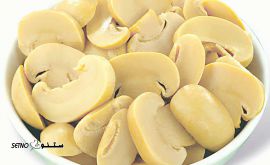 پخش قارچ / قارچ بلنچ / اصفهان / خیابان حکیم نظامی