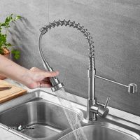 علم شیرسینک فنری اصفهان