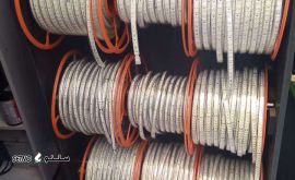 لاین نوری آمیتیس
