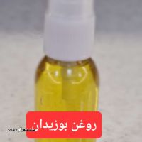 ۲۰۲۵۰۸۱۱_۱۷۲۵۰۶