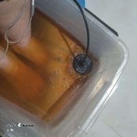 IMG_20241218_180820