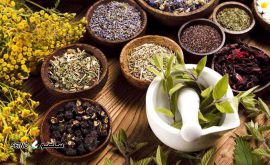 آموزش مزاج  شناسی اصفهان