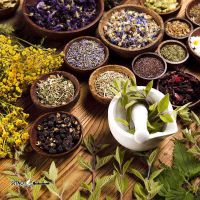 آموزش مزاج  شناسی اصفهان