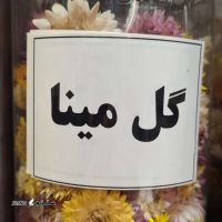 ۲۰۲۵۰۸۱۹_۱۱۱۲۵۴