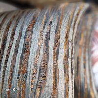 IMG_20250910_105800