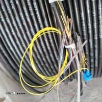 ccae537a-2bbd-4ed2-8328-5c69a15d448d