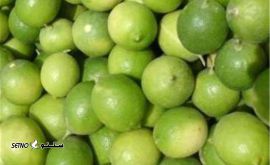 آبلیمو تازه عمده اصفهان