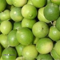 آبلیمو تازه عمده اصفهان