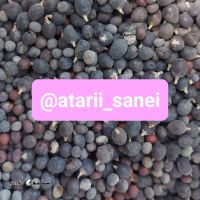 312f900b-a462-4b29-a107-bb5fc9a12ba9-700x876
