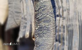 IMG_20250906_102250