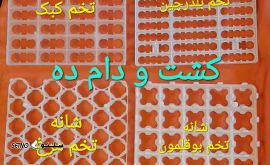 ۲۰۲۴۱۰۲۰_۱۰۳۶۰۶