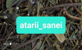 InShot_۲۰۲۲۱۰۲۰_۱۱۵۷۵۸۲۱۲_compress0