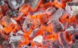 زغال کبابی رستورانی ممتاز