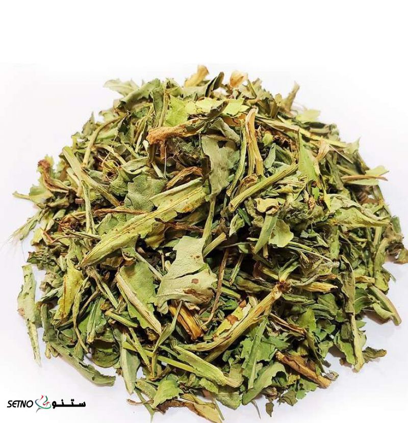 برگ غاز یاغی یا پاغازه