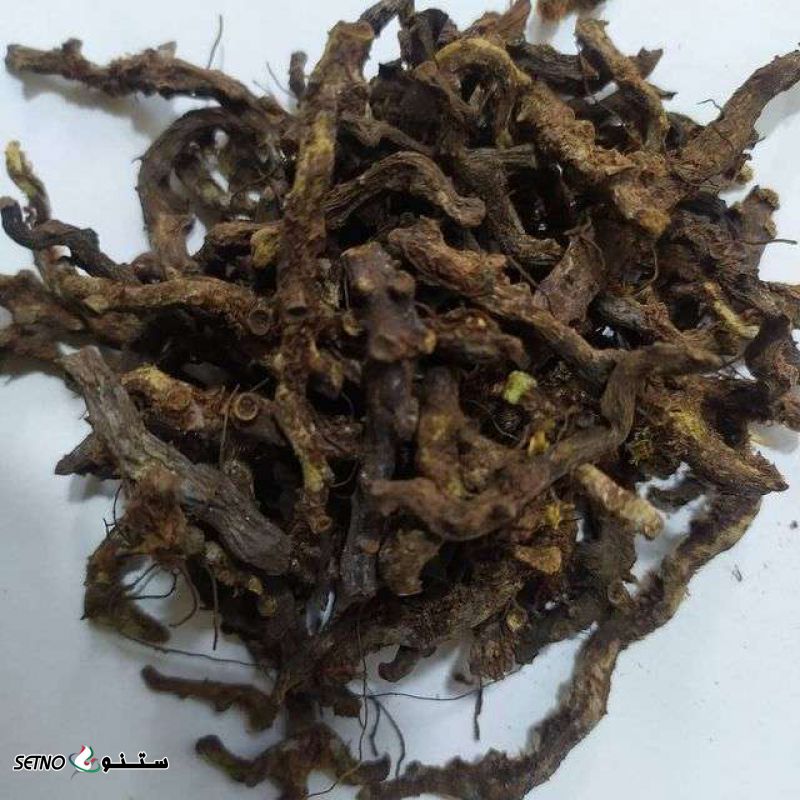 فروش ریشه بسفایج در عطاری صانعی اصلی در اصفهان